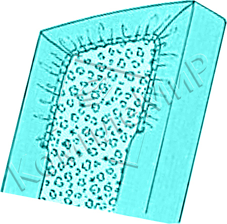 elastic sheet stretched on the mattress