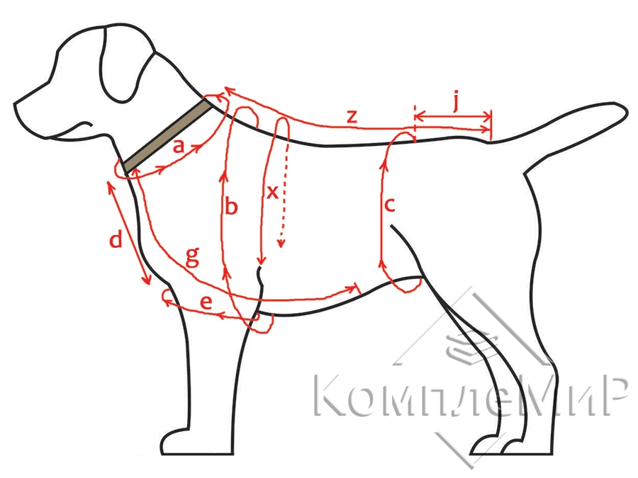 pattern of clothes for dogs - 1